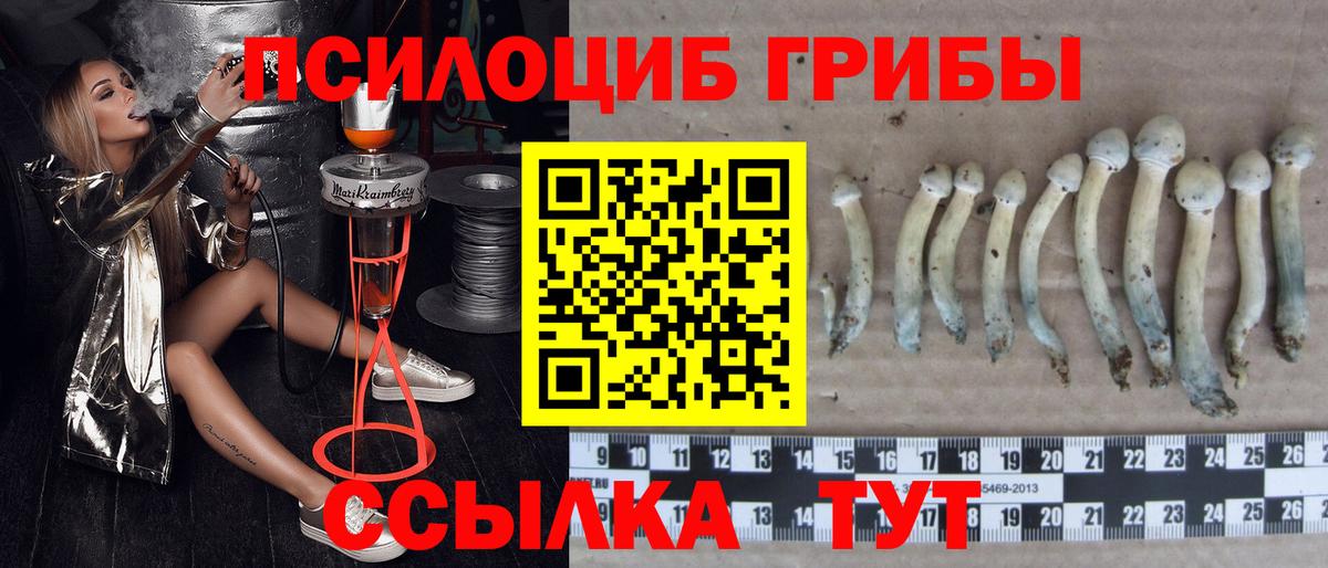 Псилоцибиновые грибы ЛСД  Вход с VPN  Кириши 